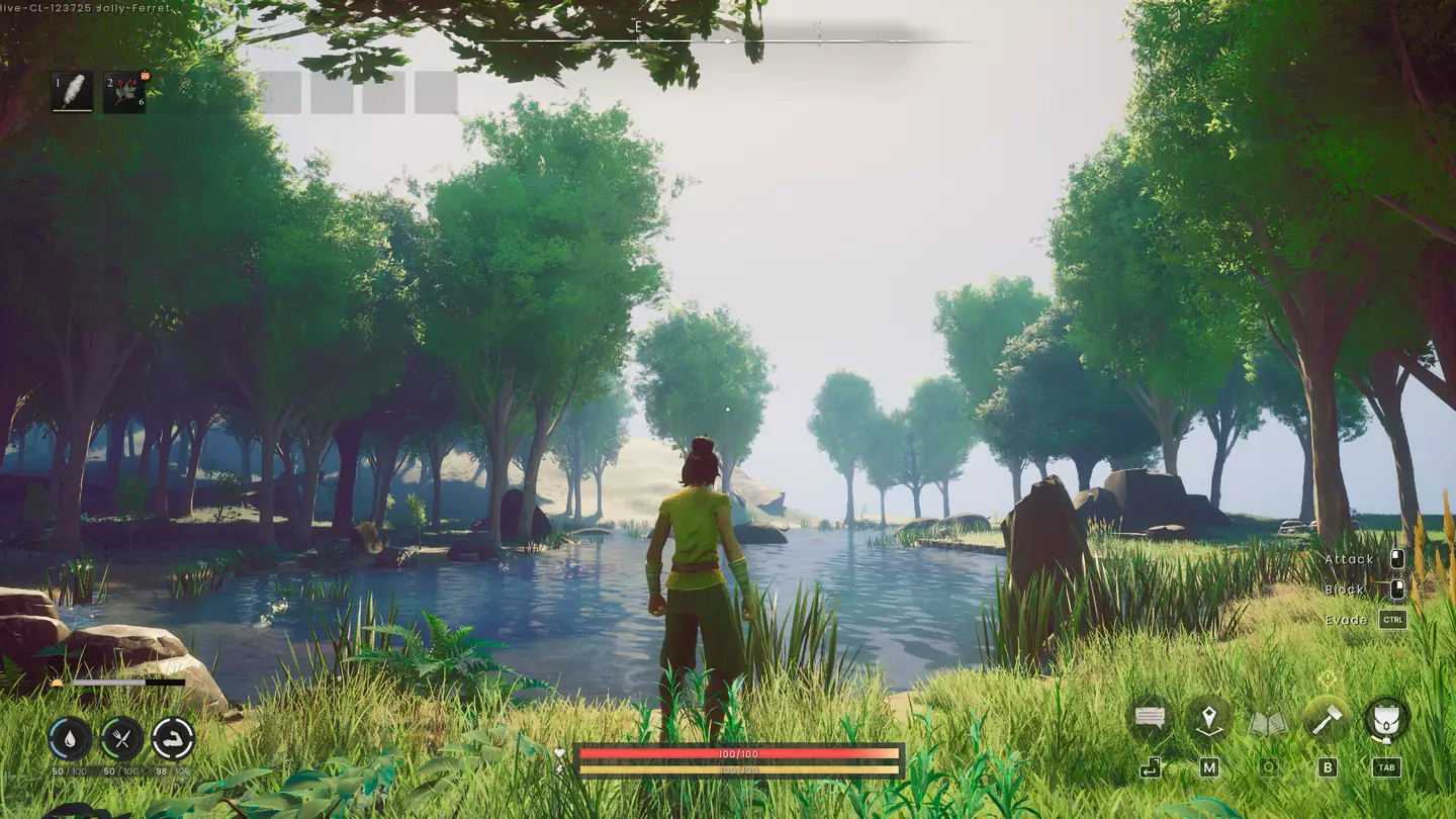 Cliquez pour agrandir