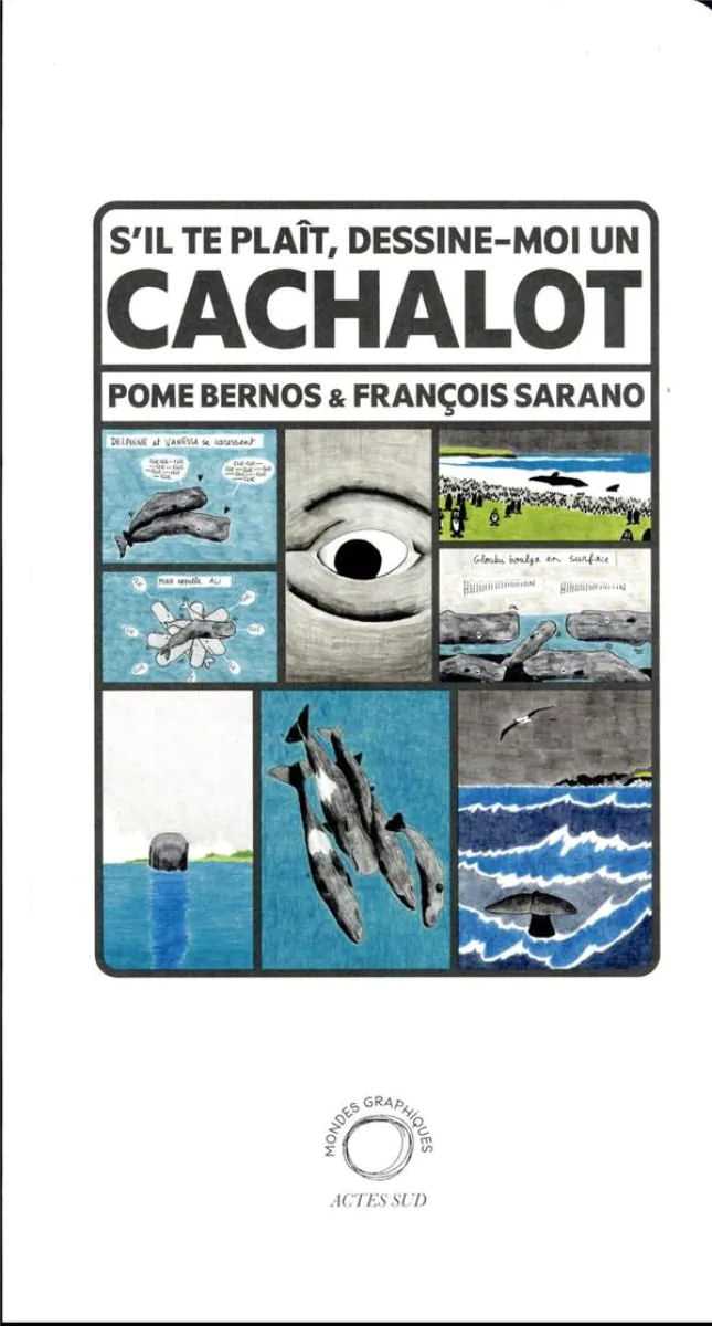 S'il te plaît, dessine-moi un cachalot 